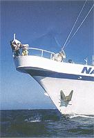 Nai'a