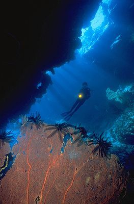 The Secret Cave